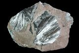 Metallic, Needle-Like Pyrolusite Cystals - Morocco #88949-1